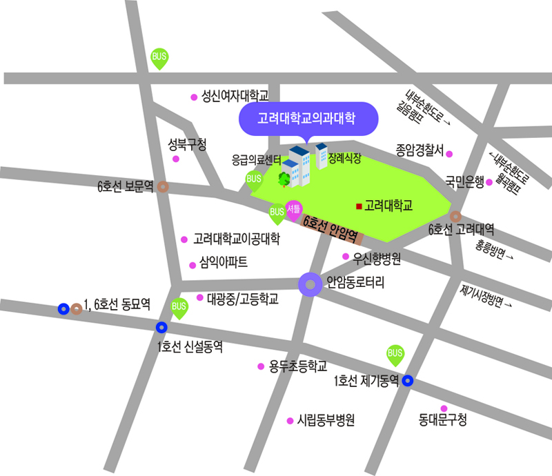 지하철 6호선 안암역 1,2번 출구에서 유광사홀까지 도보 이동경로를 표시한 지도